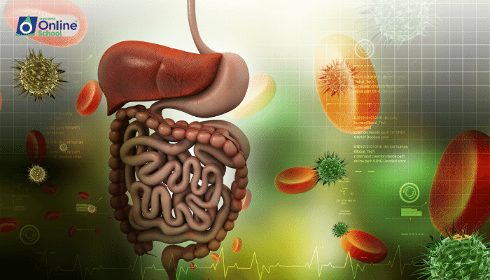 Lesson 18: Gut Reactions: Understanding Digestive Disorders
